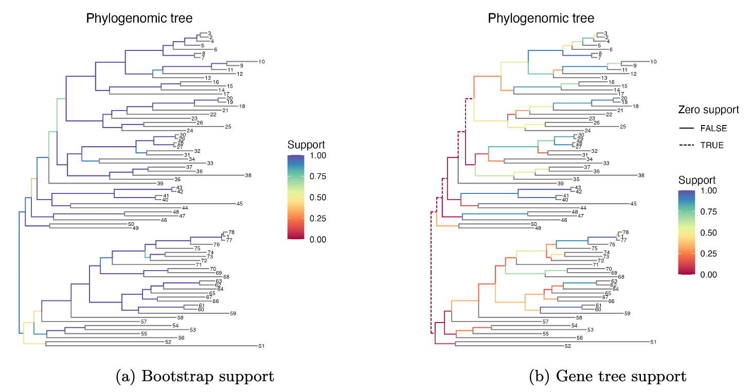 Caption: The Prevotella phylogenomic tree with splits colored by bootstrap support (left) and gene tree support (right). We observe zero gene tree support for several deep splits, but note the high bootstrap support for these splits.